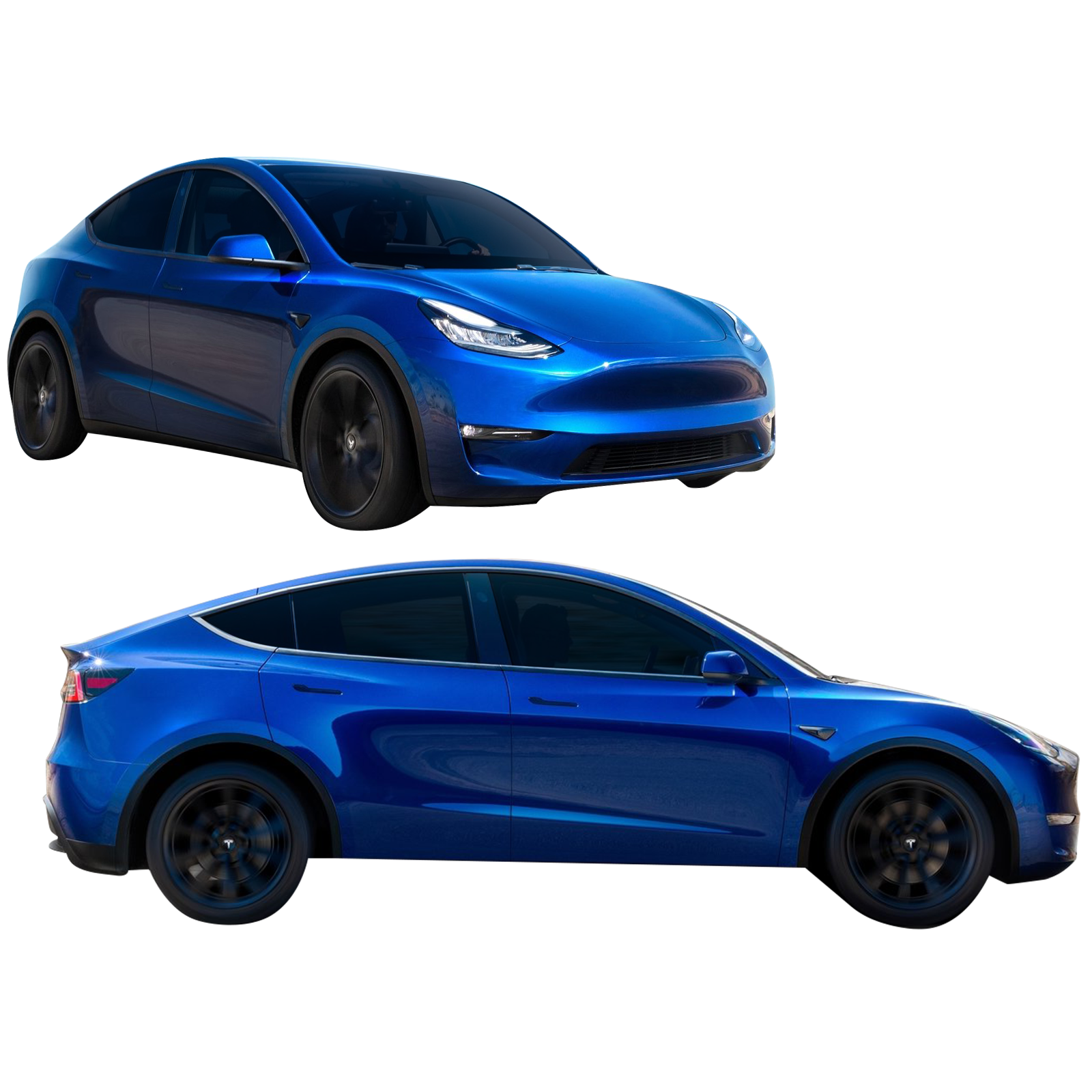 TS MODEL Y 2019 - SHELITA